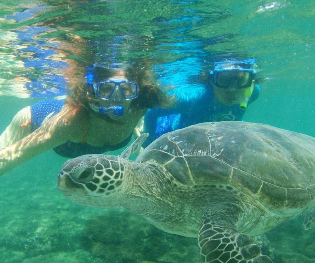 Beautiful Guest House Kailua Beach Esterno foto